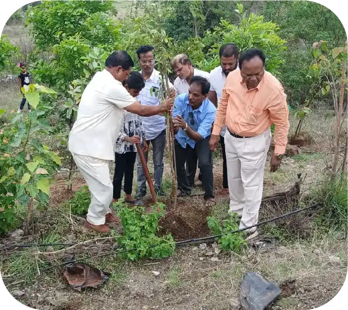 Volunteer planting a sapling during tree plantation activity